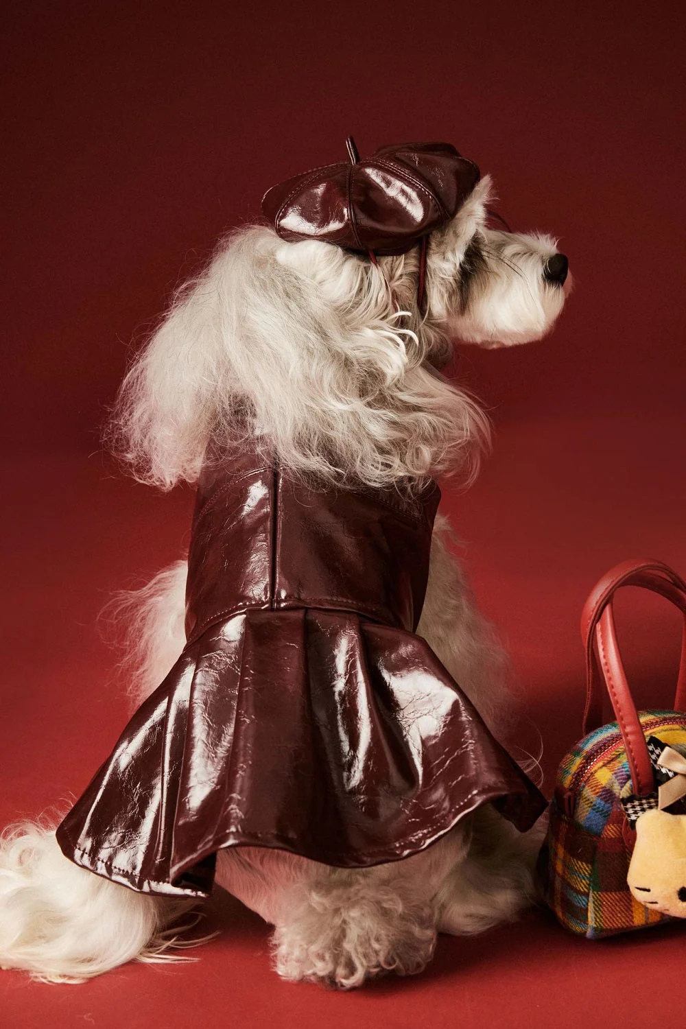 Luxe Leather Pet Beret Dress With Hat - Image 5