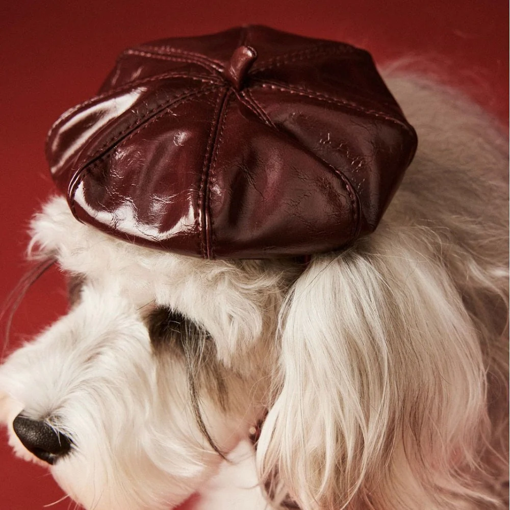Luxe Leather Pet Beret Dress With Hat - Image 8