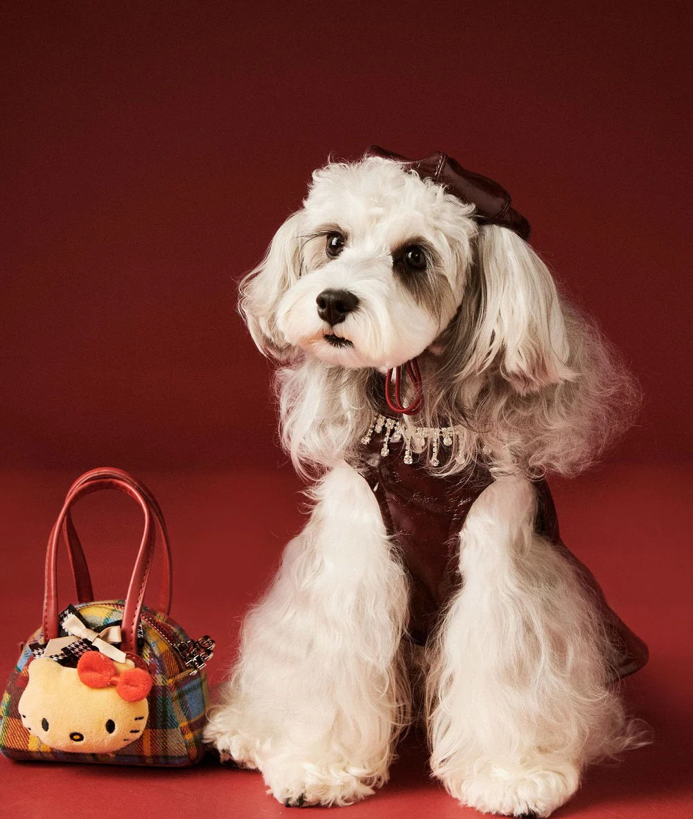 Luxe Leather Pet Beret Dress With Hat - Image 9