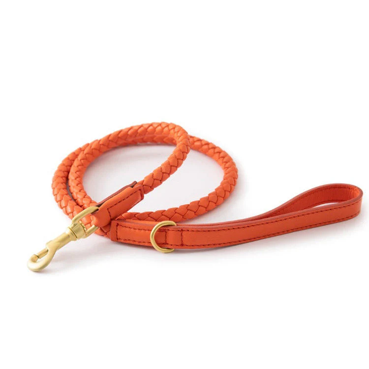 Luxury Braided Leather Dog Collar+Leash Set – Eco-Friendly, Durable, Stylish - Image 11