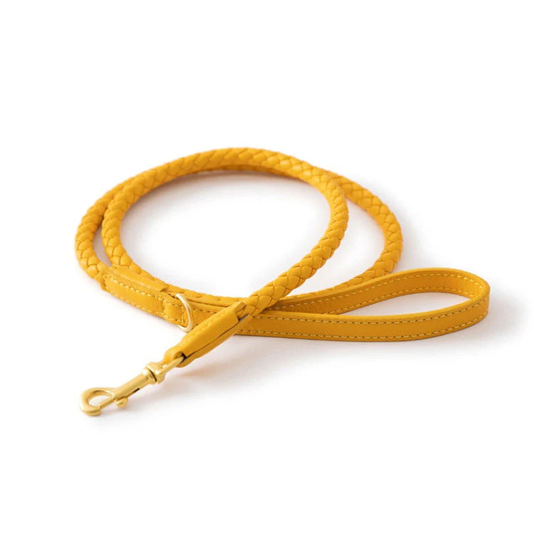 Luxury Braided Leather Dog Collar+Leash Set – Eco-Friendly, Durable, Stylish - Image 12