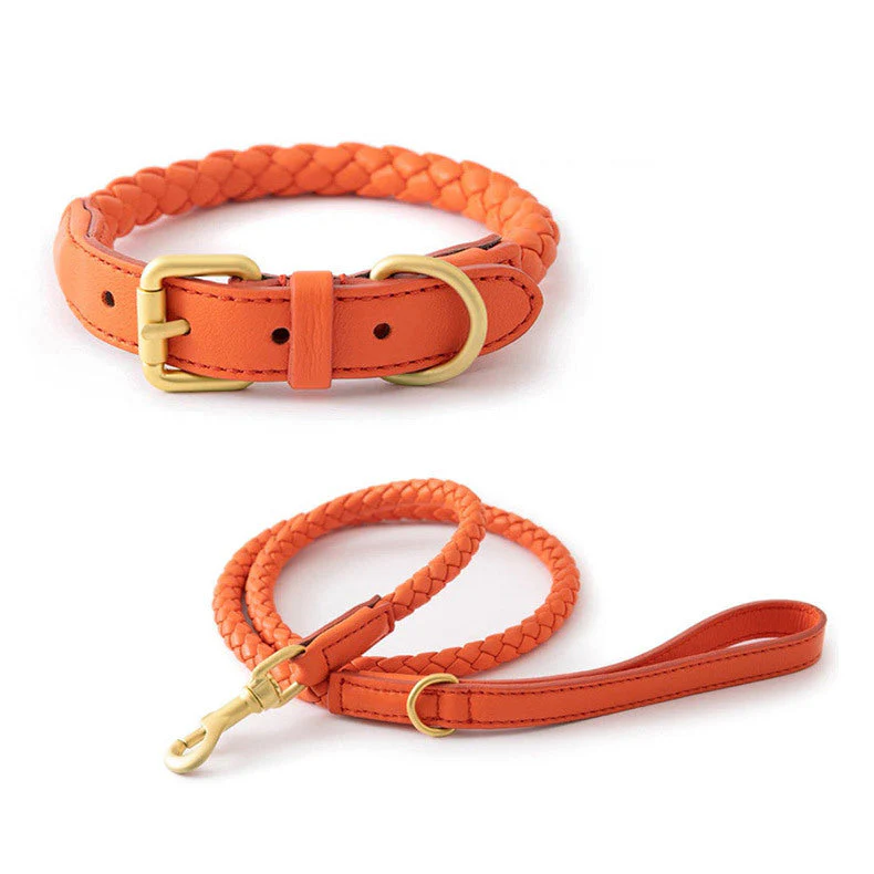 Luxury Braided Leather Dog Collar+Leash Set – Eco-Friendly, Durable, Stylish - Image 2