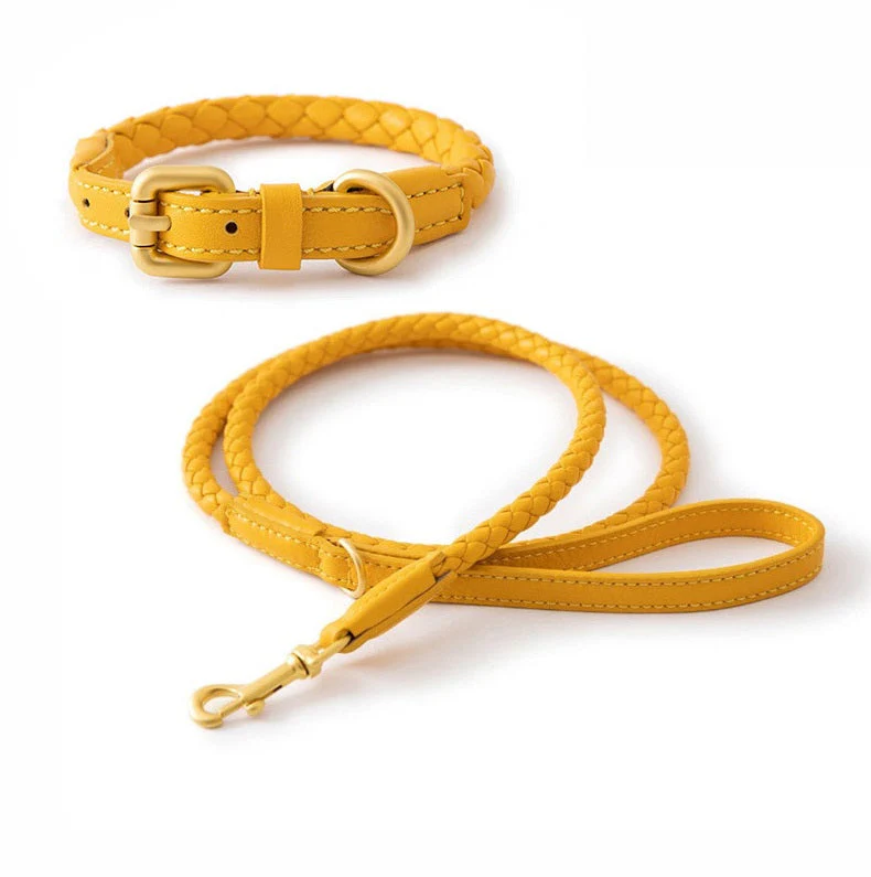 Luxury Braided Leather Dog Collar+Leash Set – Eco-Friendly, Durable, Stylish - Image 3