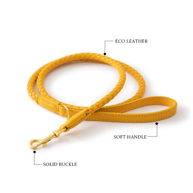 Luxury Braided Leather Dog Collar+Leash Set – Eco-Friendly, Durable, Stylish - Image 5