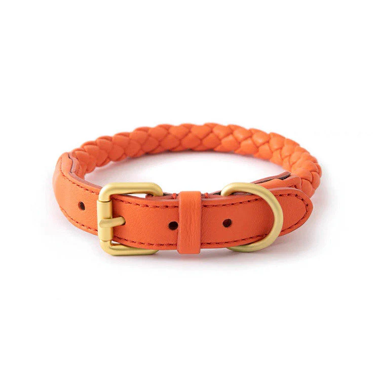 Luxury Braided Leather Dog Collar+Leash Set – Eco-Friendly, Durable, Stylish - Image 7