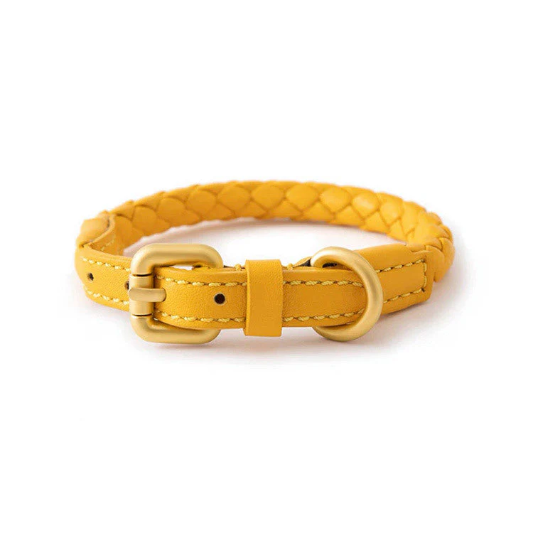 Luxury Braided Leather Dog Collar+Leash Set – Eco-Friendly, Durable, Stylish - Image 9