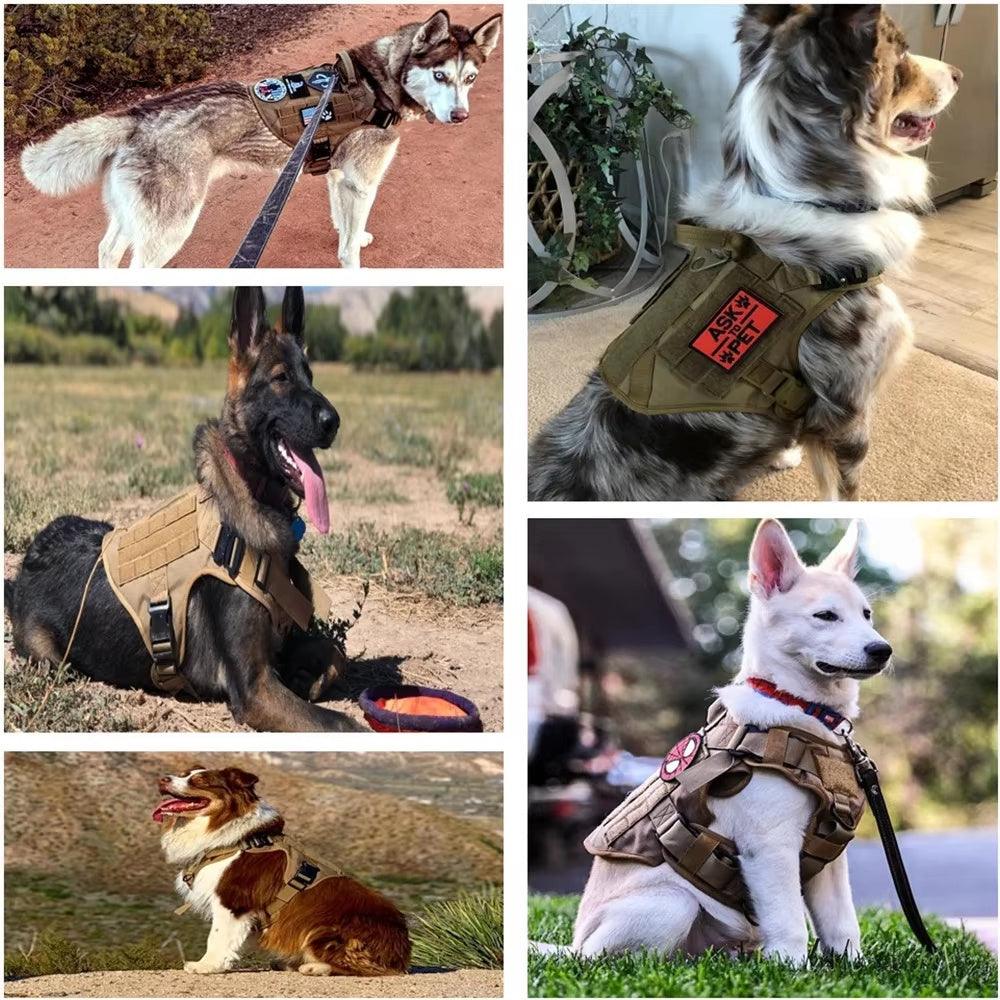 Luxury Camouflage Dog Harness - Image 5