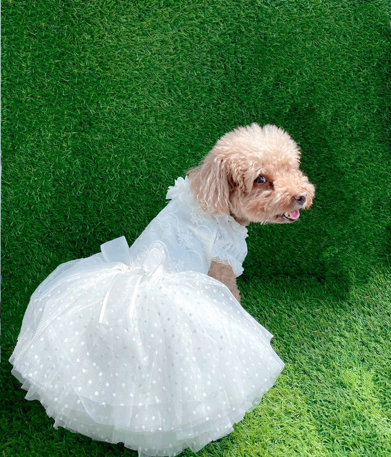 Luxury Classic White Pet Wedding Dress Elegant Floral Tulle Dog Dress - Image 5