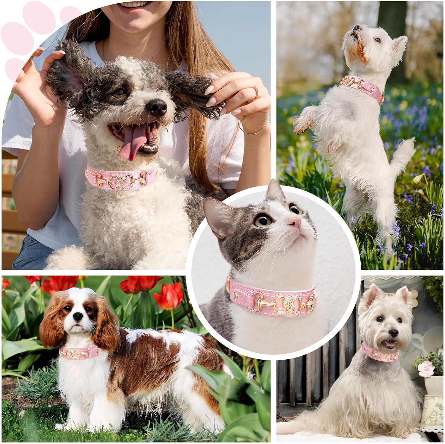 Luxury Crystal Heart Dog Collar – Pink & Purple Croc Texture - Image 7