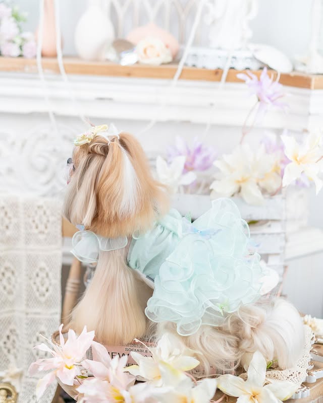 Luxury design dog dress diamond butterfly 2 colors - Image 3