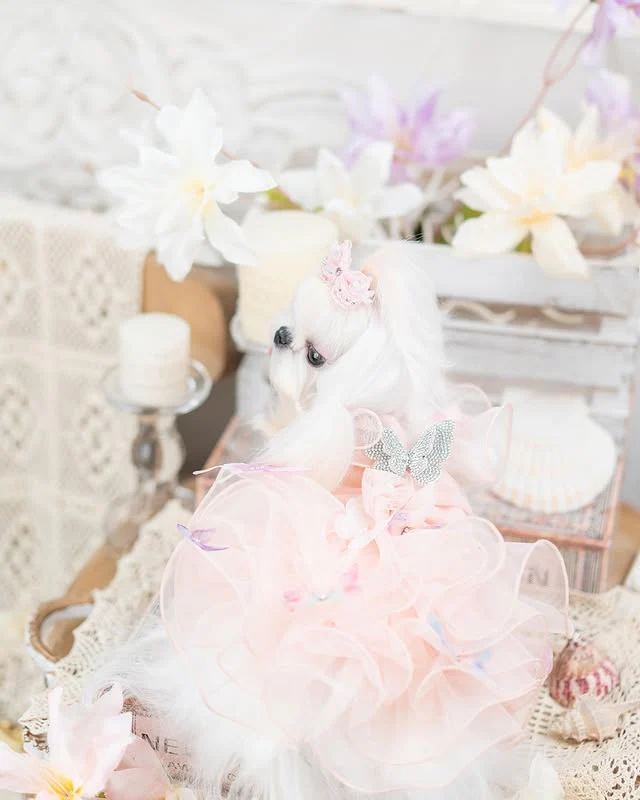 Luxury design dog dress diamond butterfly 2 colors - Image 4