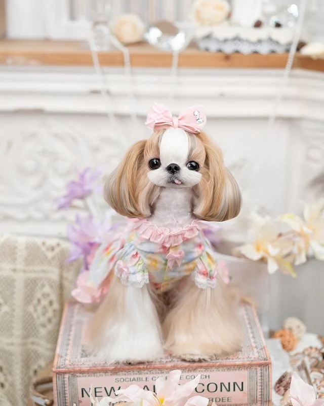 Luxury design dog dress pearls chain accessories 2 colors - Image 5