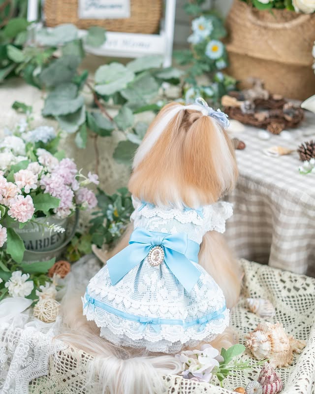 Luxury design dog dress vintage lace - Image 2