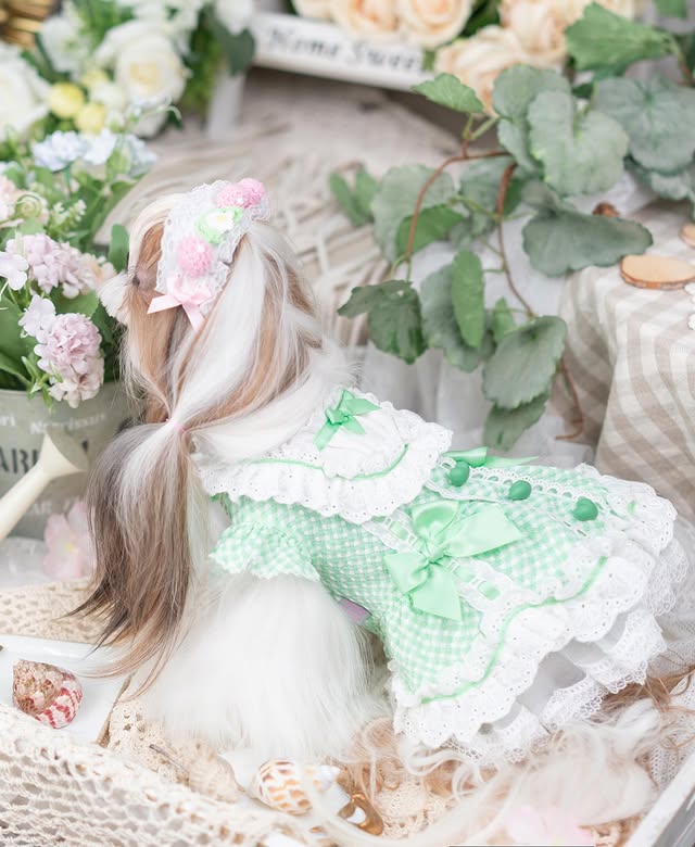 Luxury design dog Lacy Princess Puff Dress - Image 5