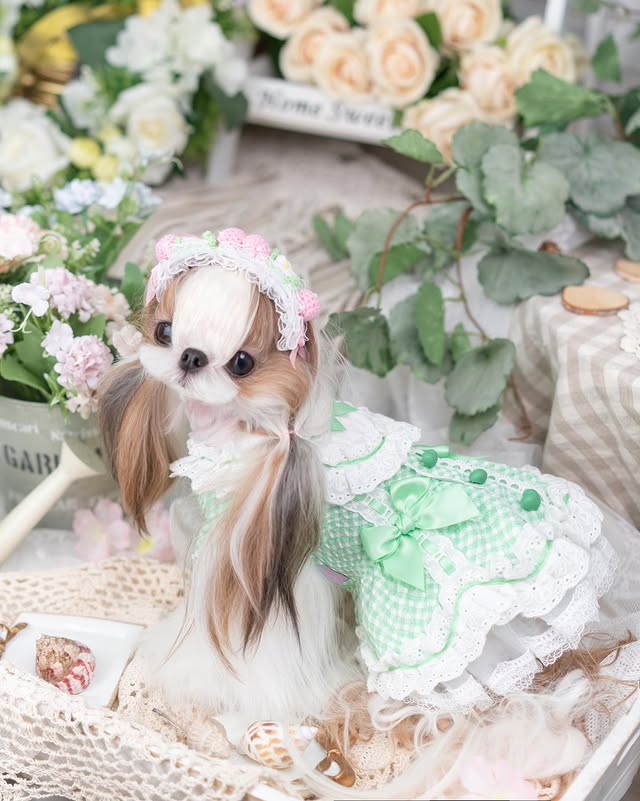Luxury design dog Lacy Princess Puff Dress - Image 7