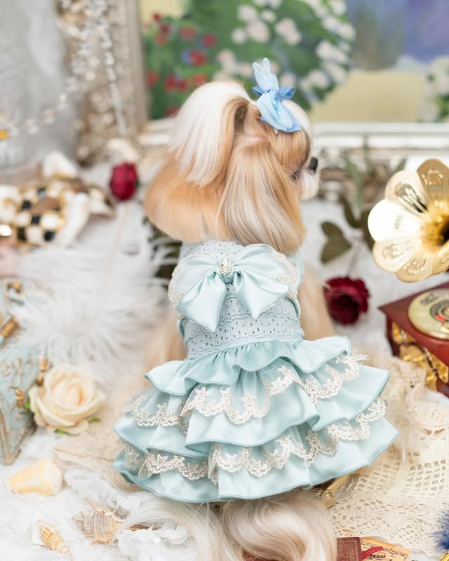Luxury design high quality dog dress lace big bow - Image 2