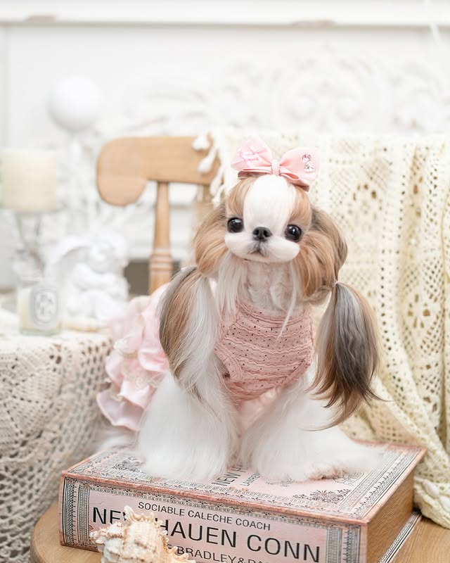Luxury design high quality dog dress lace big bow - Image 5