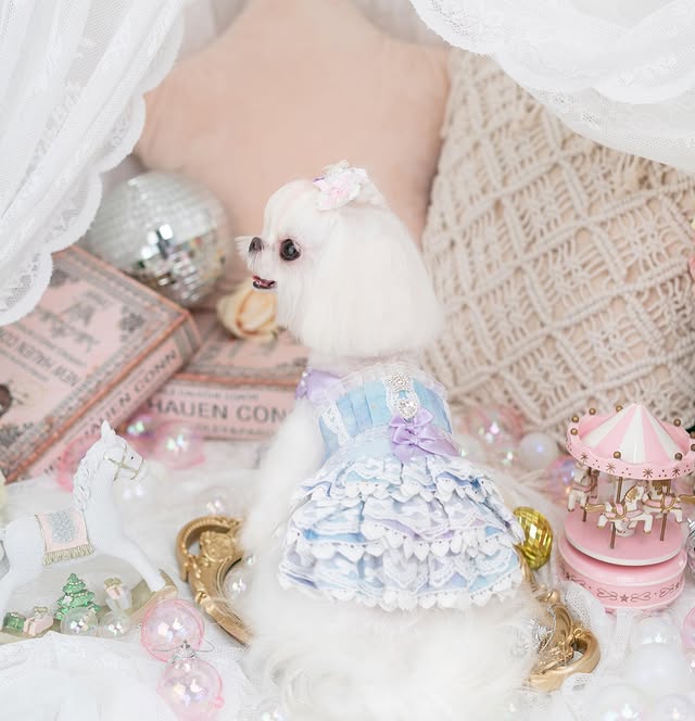 Luxury design Royal Frost Ruffle Dog Dress - Image 4