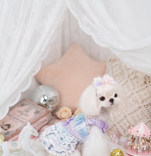 Luxury design Royal Frost Ruffle Dog Dress - Image 5