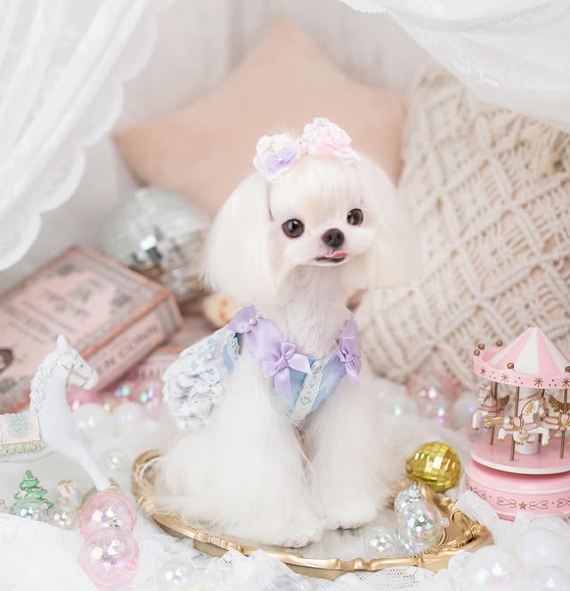 Luxury design Royal Frost Ruffle Dog Dress - Image 6