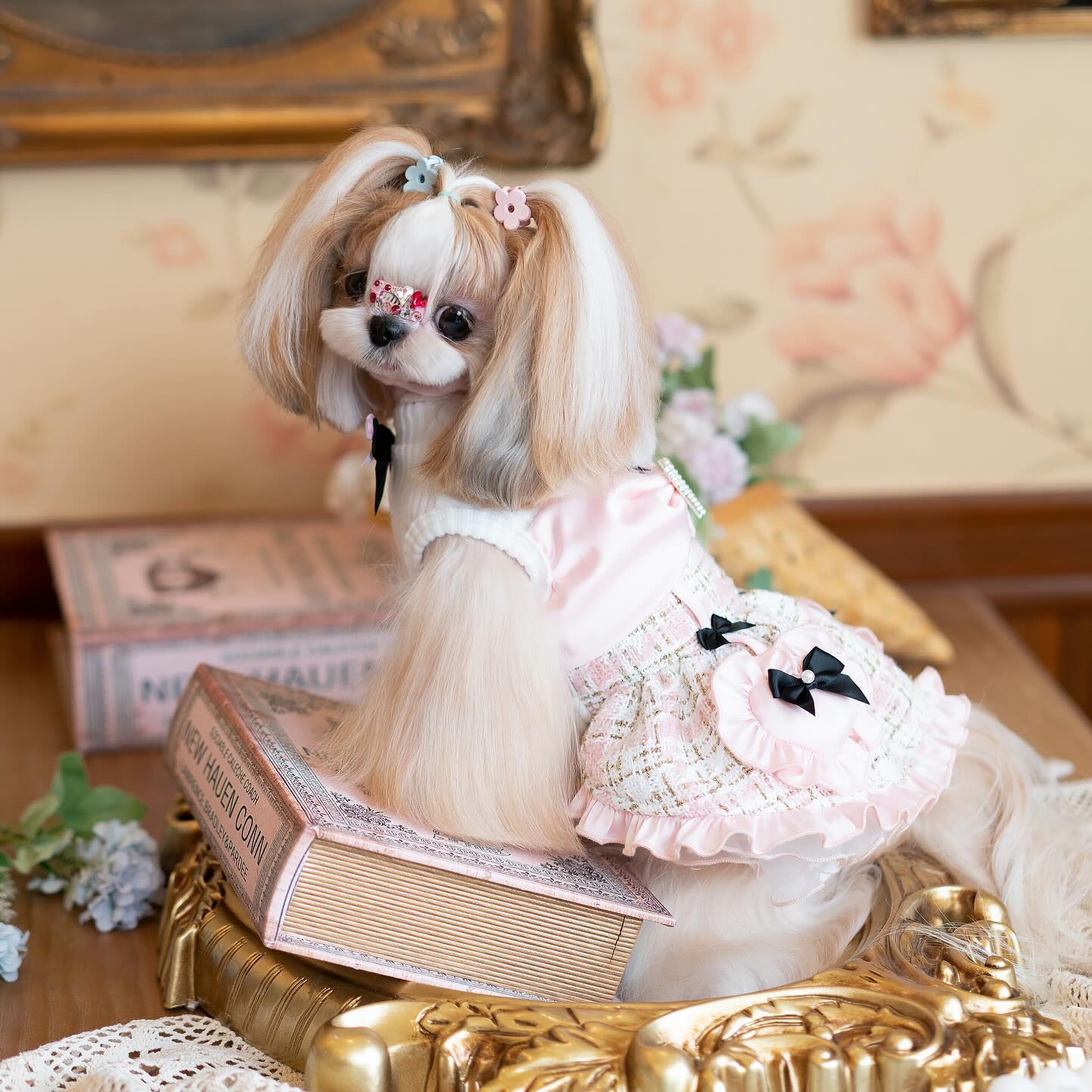 Luxury design Tweed Bow Belle Dog Dress - Image 4