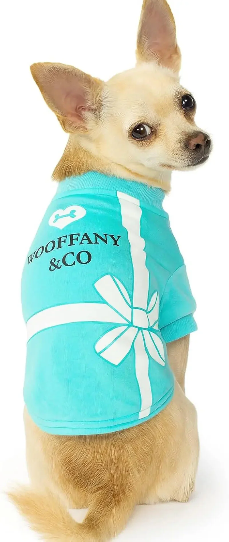 Luxury Designer Dog T-Shirt for Small Dogs | Chic Pet Apparel - Image 20