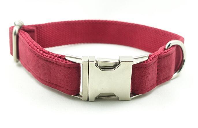 Luxury Dog Traction Collar - Image 10
