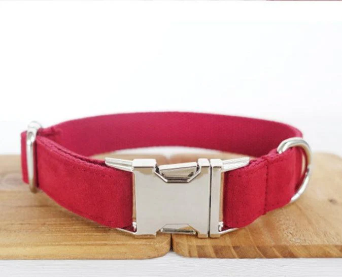 Luxury Dog Traction Collar - Image 3