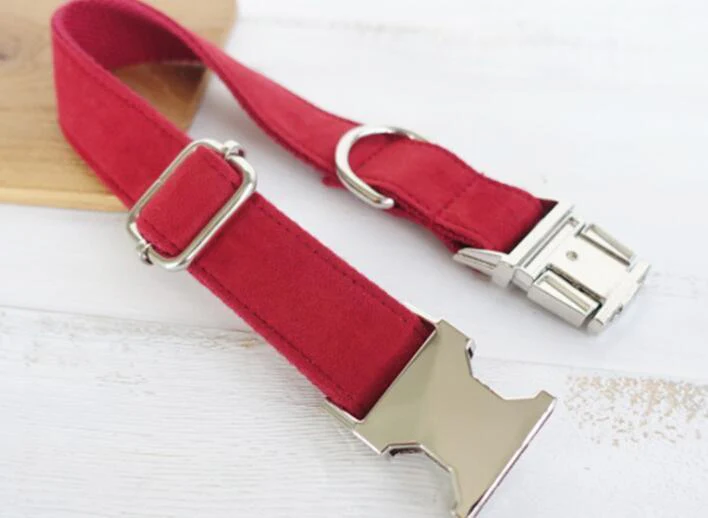 Luxury Dog Traction Collar - Image 5