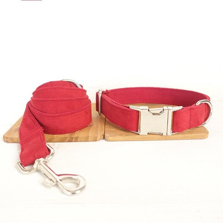 Luxury Dog Traction Collar - Image 6