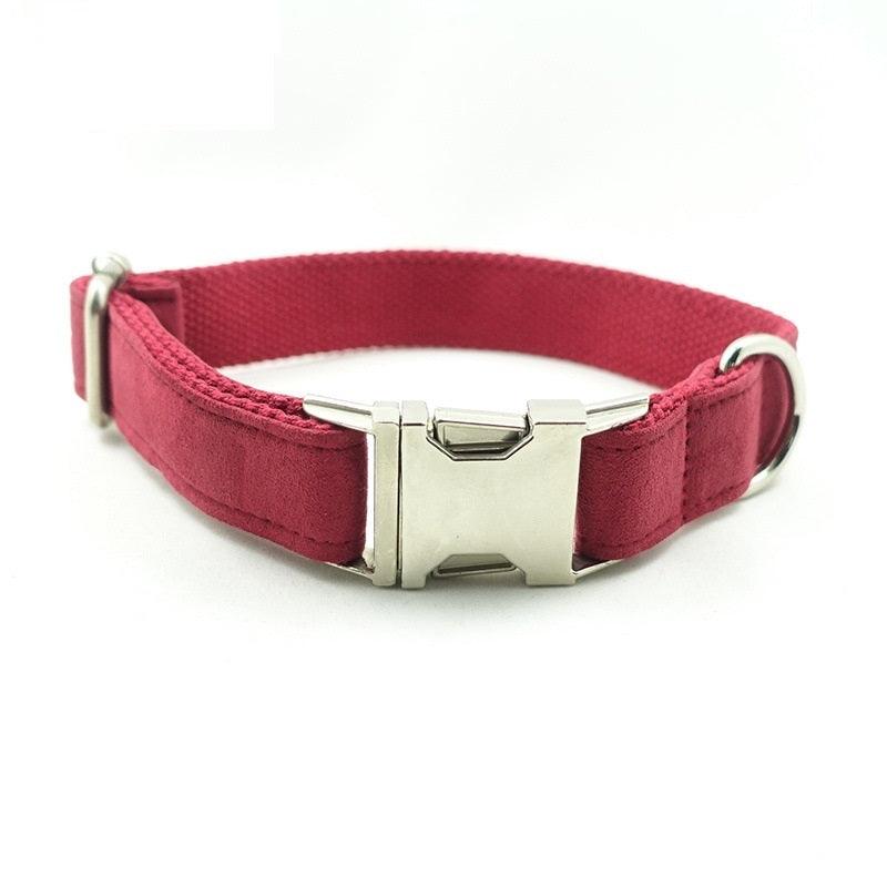Luxury Dog Traction Collar - Image 8