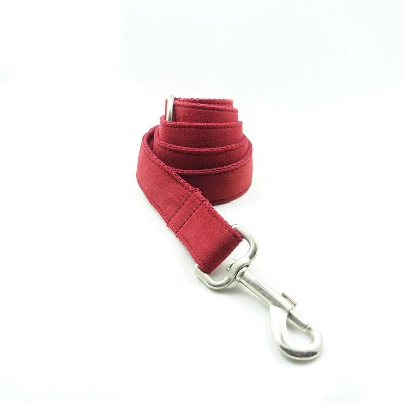 Luxury Dog Traction Collar - Image 9