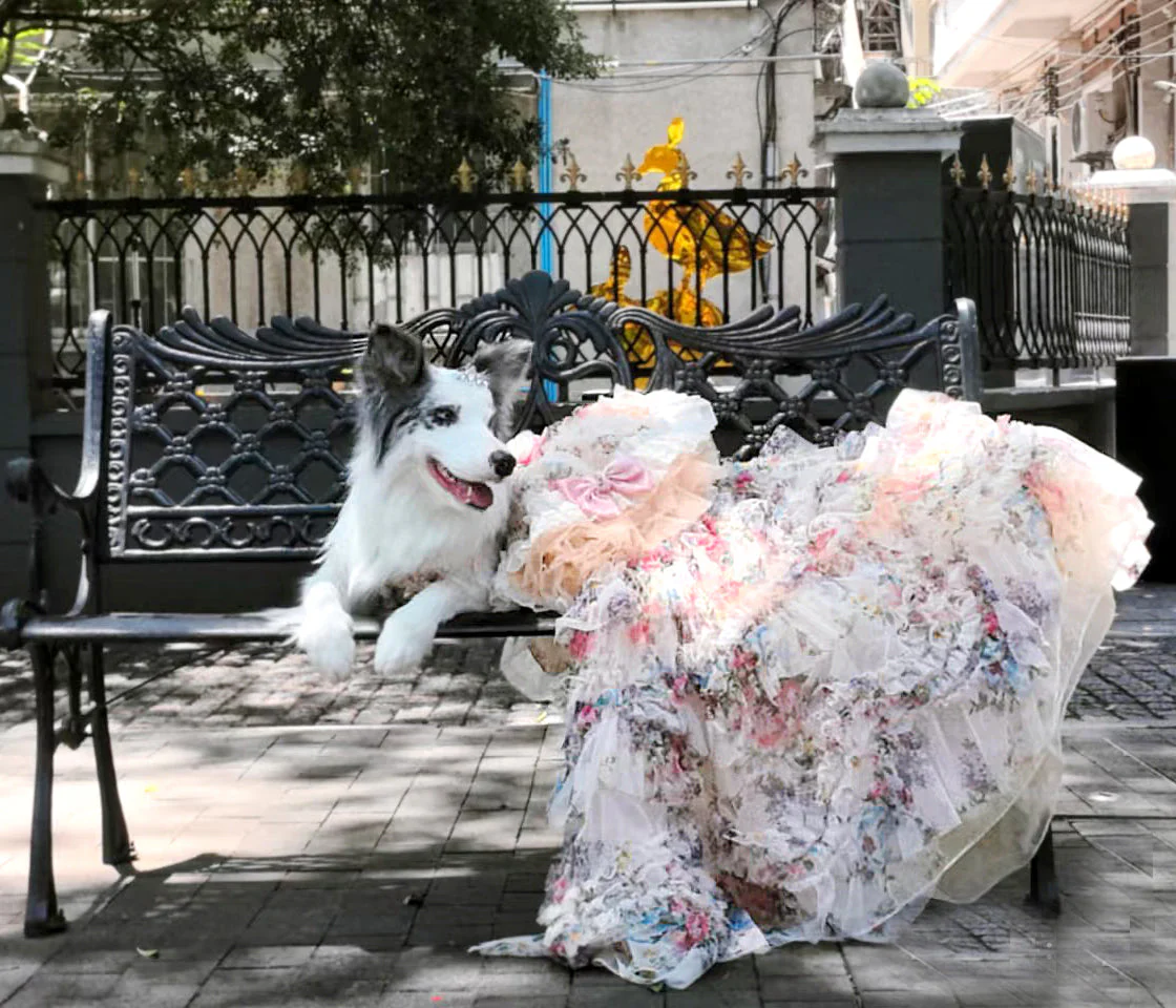 Luxury Floral Dog Dress with Ruffled Skirt & Pink Bow - Image 12