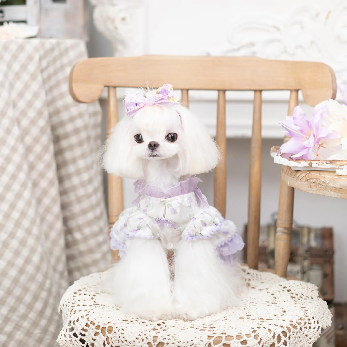 Luxury Japanese design Dog dress chiffon little bow floral - Image 8