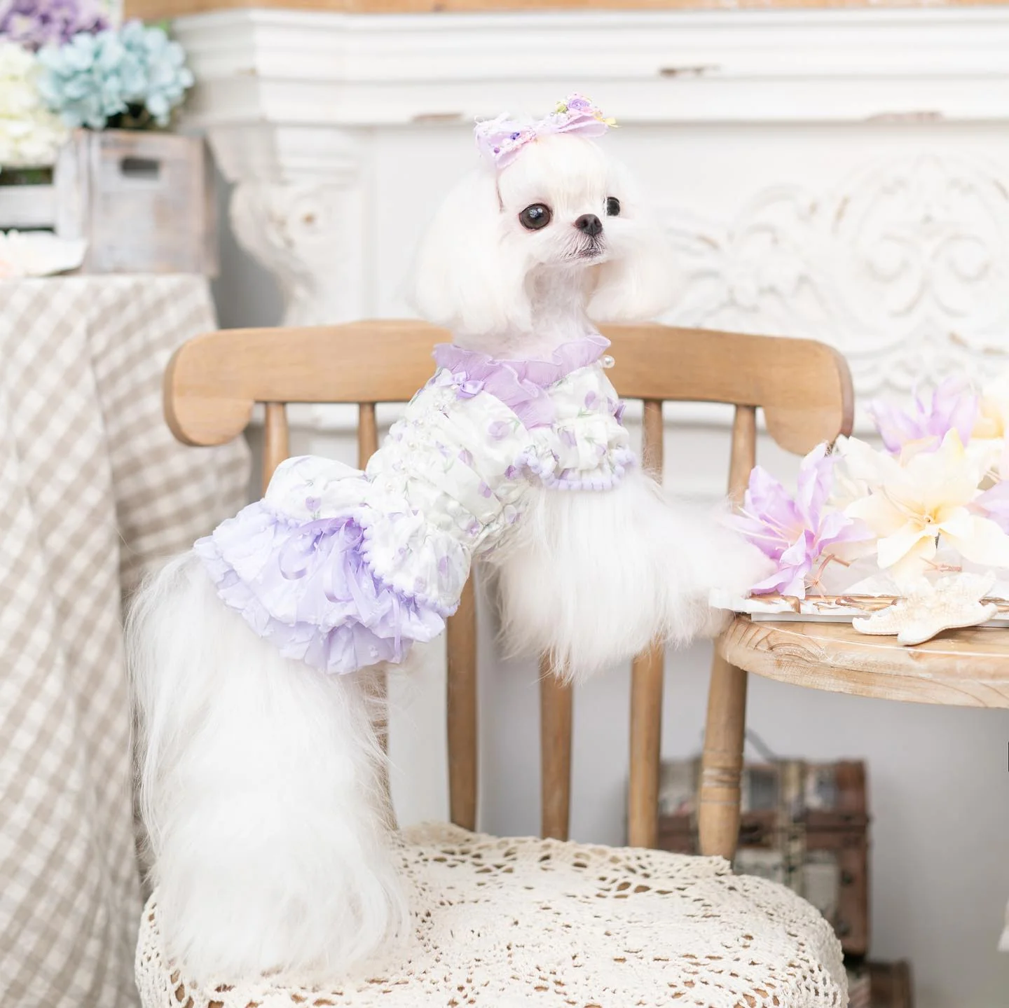 Luxury Japanese design Dog dress chiffon little bow floral - Image 9
