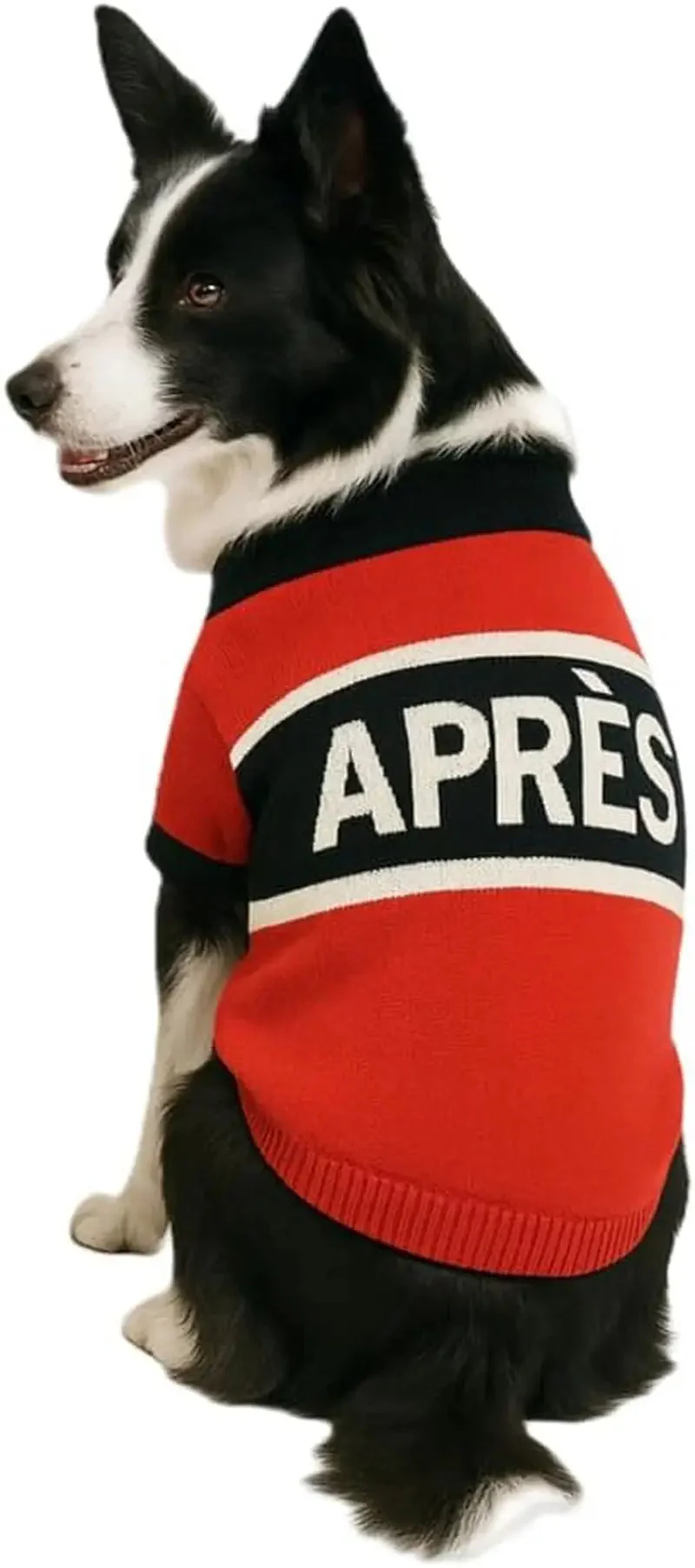 Luxury Knit Dog Sweater for Small Dogs | Warm Designer Pet Outfit (XS–5X) - Image 14