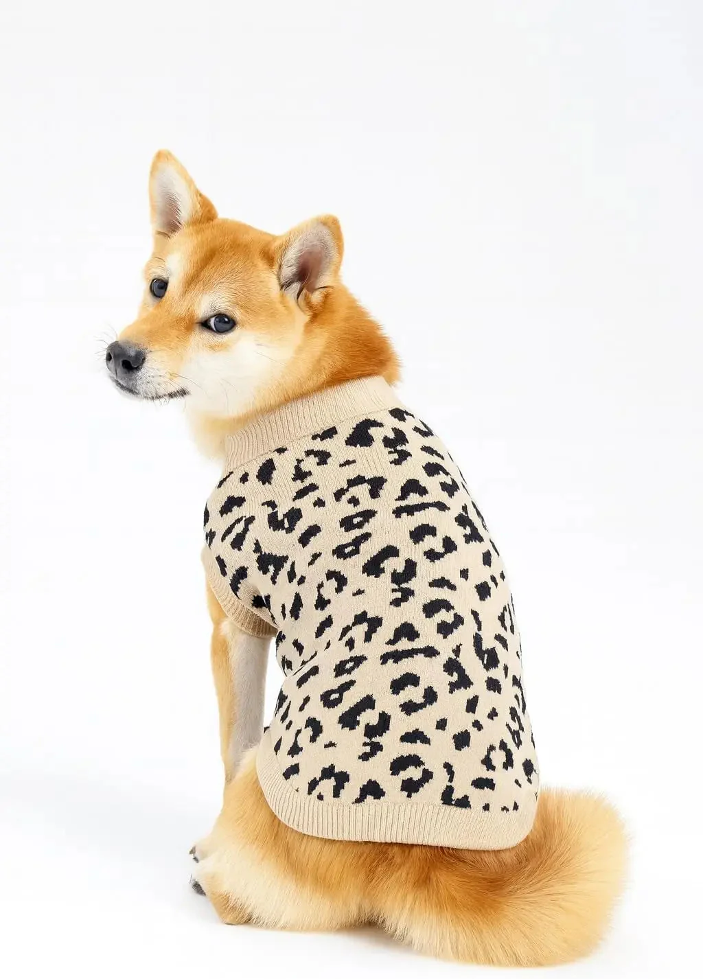 Luxury Knit Dog Sweater for Small Dogs | Warm Designer Pet Outfit (XS–5X) - Image 20