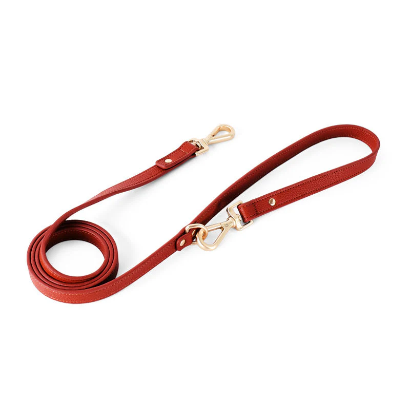 Luxury Leather Dog Harness & Leash Set – Brown/Green - Image 3