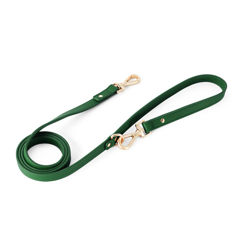 Luxury Leather Dog Harness & Leash Set – Brown/Green - Image 5