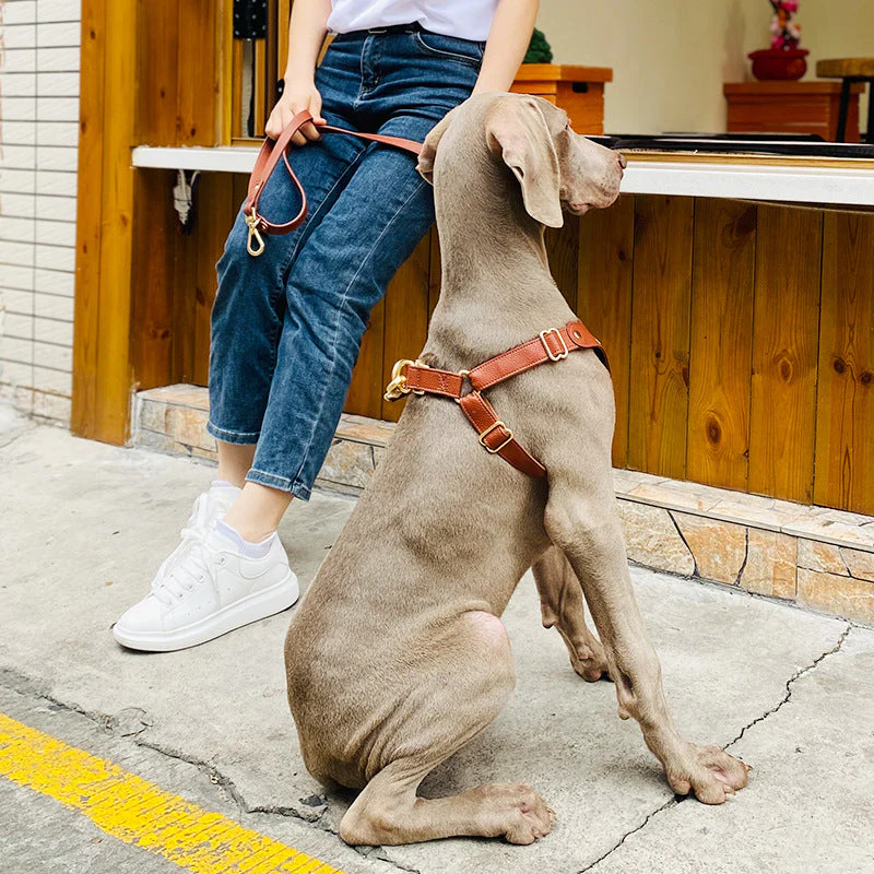Luxury Leather Dog Harness & Leash Set – Brown/Green - Image 6