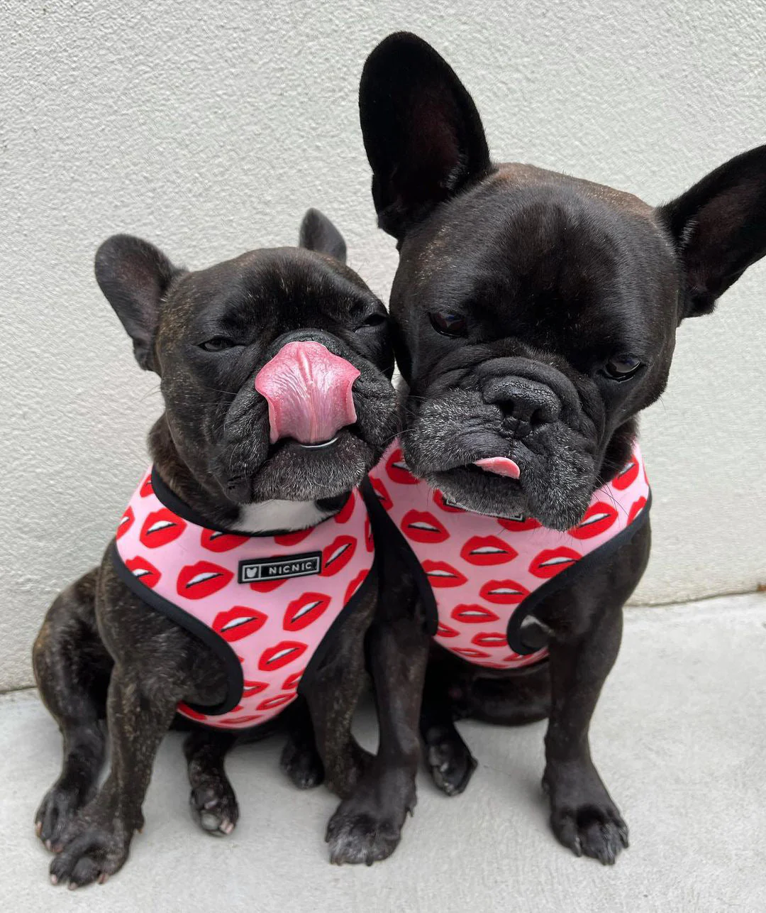 Luxury Red Lips Breathable Mesh Harness Chest Back + Traction - Image 2