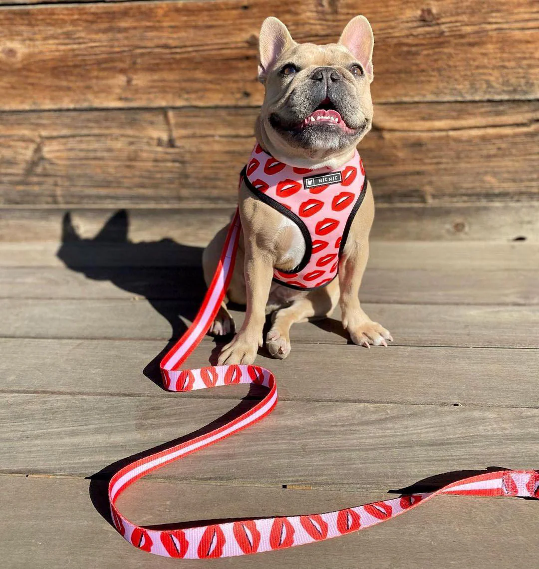 Luxury Red Lips Breathable Mesh Harness Chest Back + Traction - Image 4
