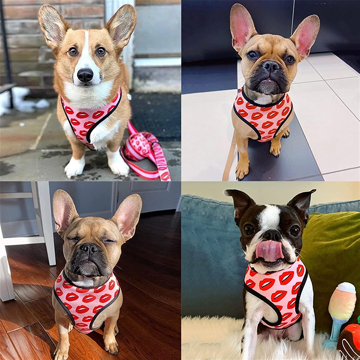 Luxury Red Lips Breathable Mesh Harness Chest Back + Traction - Image 8