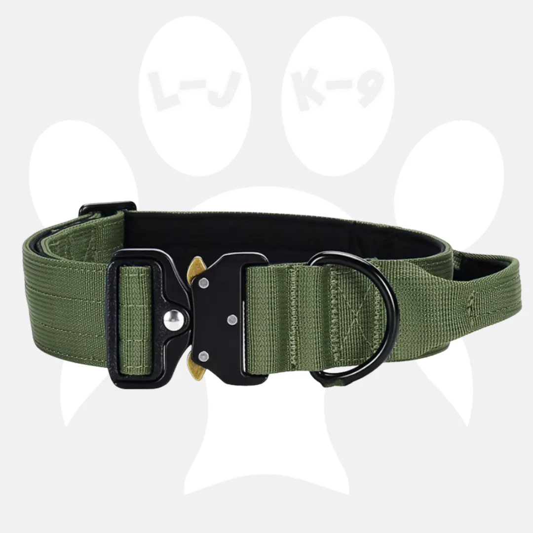 Luxury Sleek Padded Dog Collar - Image 10