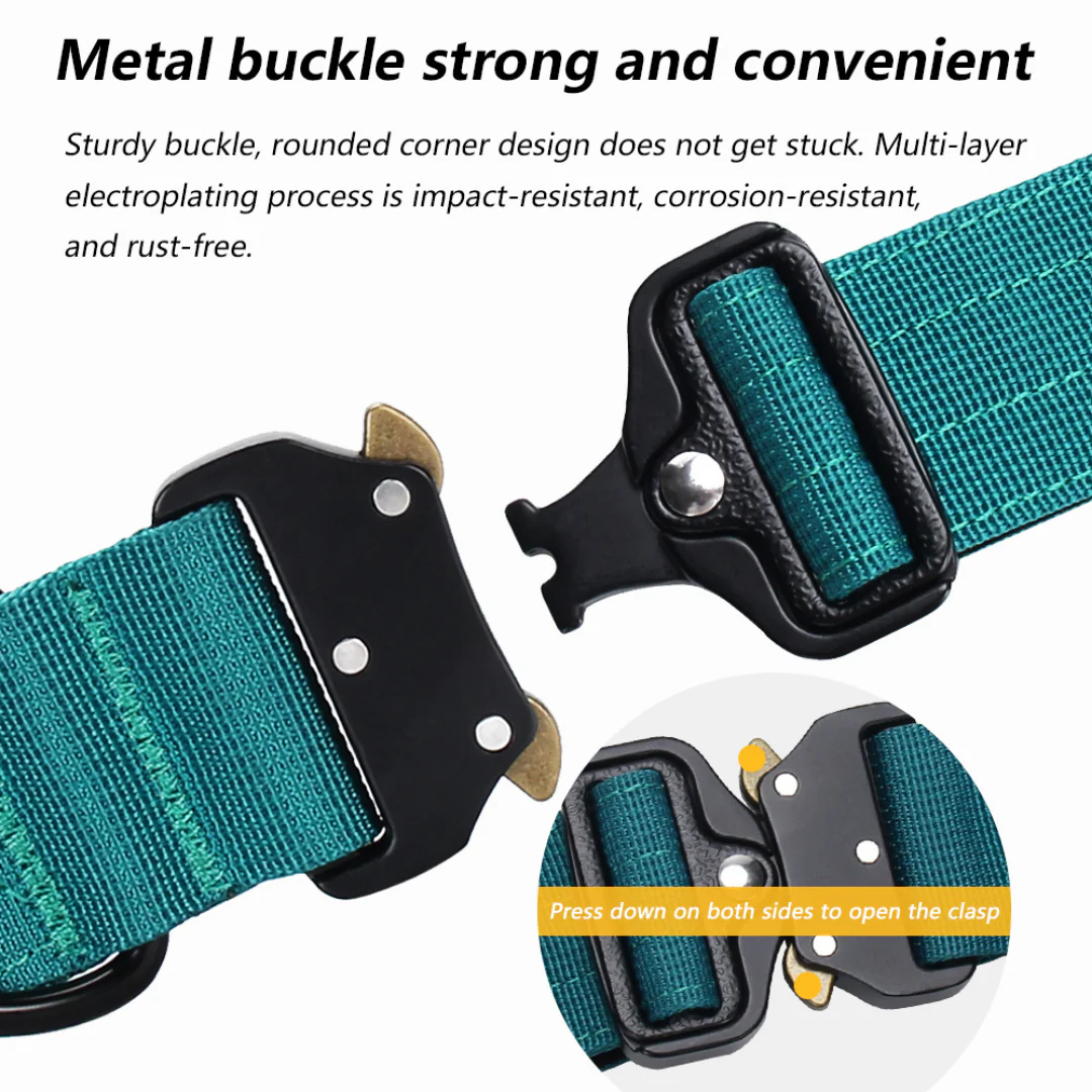 Luxury Sleek Padded Dog Collar - Image 11