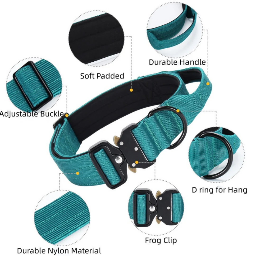 Luxury Sleek Padded Dog Collar - Image 12