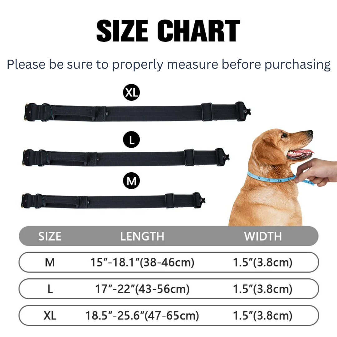 Luxury Sleek Padded Dog Collar - Image 13