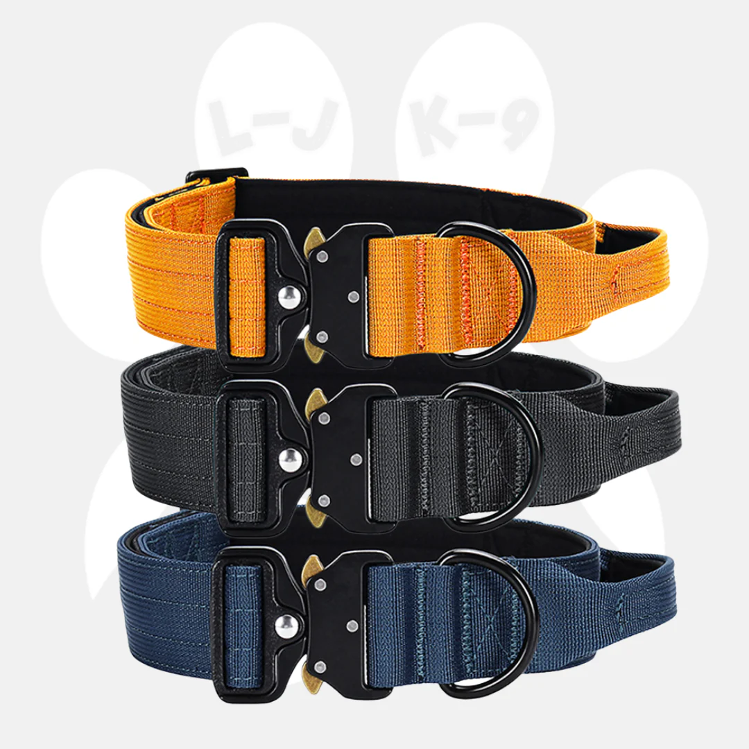 Luxury Sleek Padded Dog Collar - Image 2