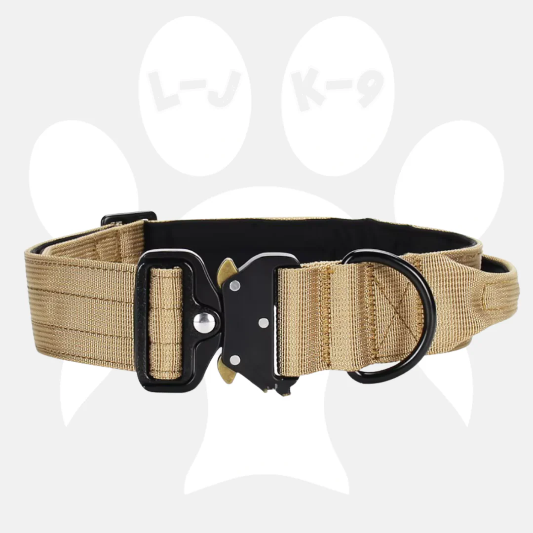 Luxury Sleek Padded Dog Collar - Image 3