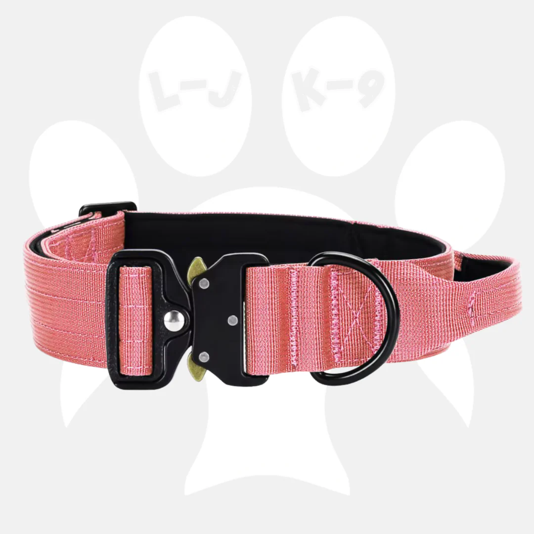 Luxury Sleek Padded Dog Collar - Image 4